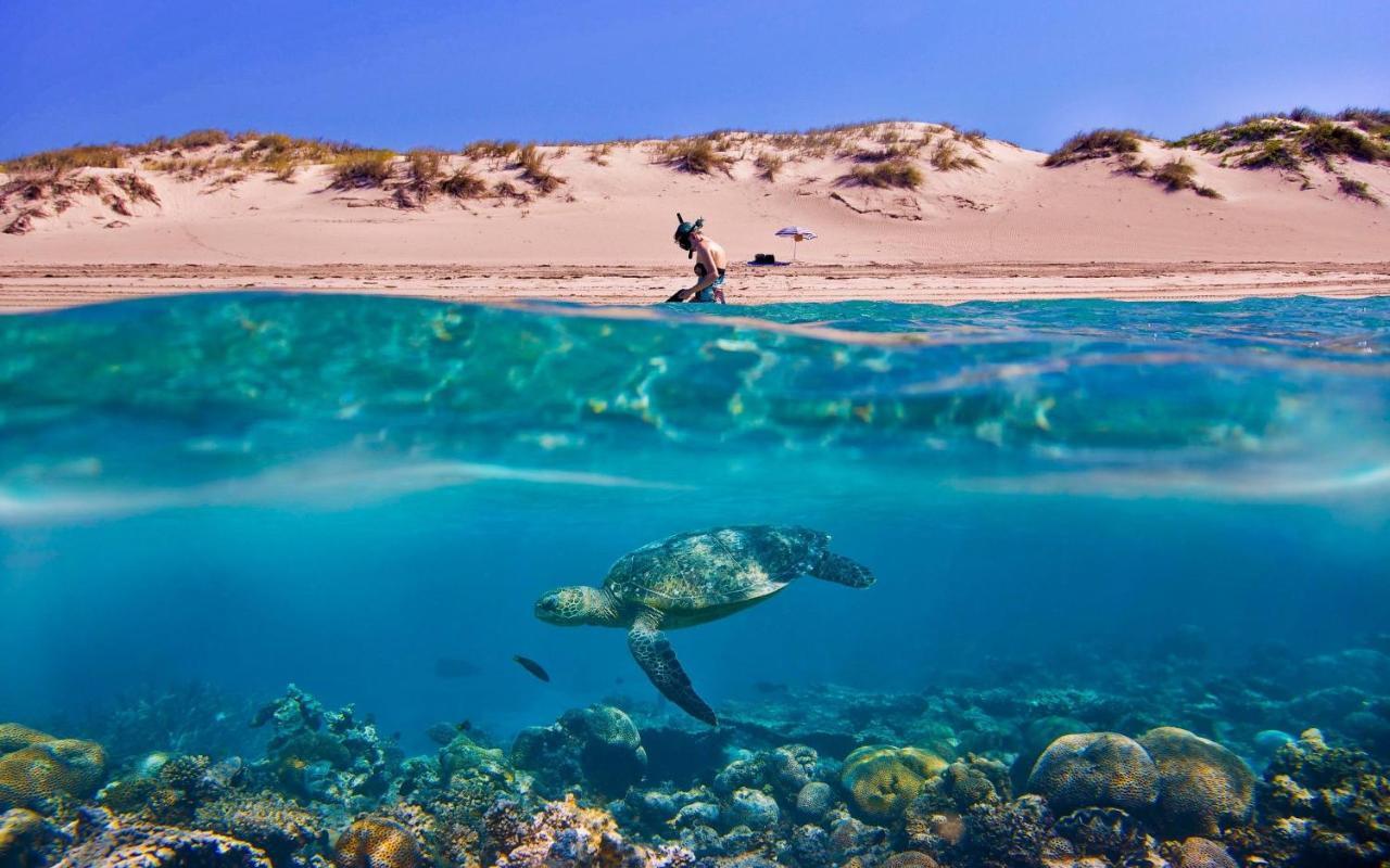 Casa vacanze Tortuga Dafni Bay Diver's Paradise By 