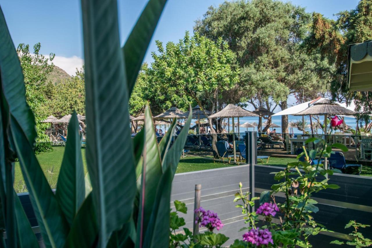 Tortuga Dafni Bay Diver's Paradise By 