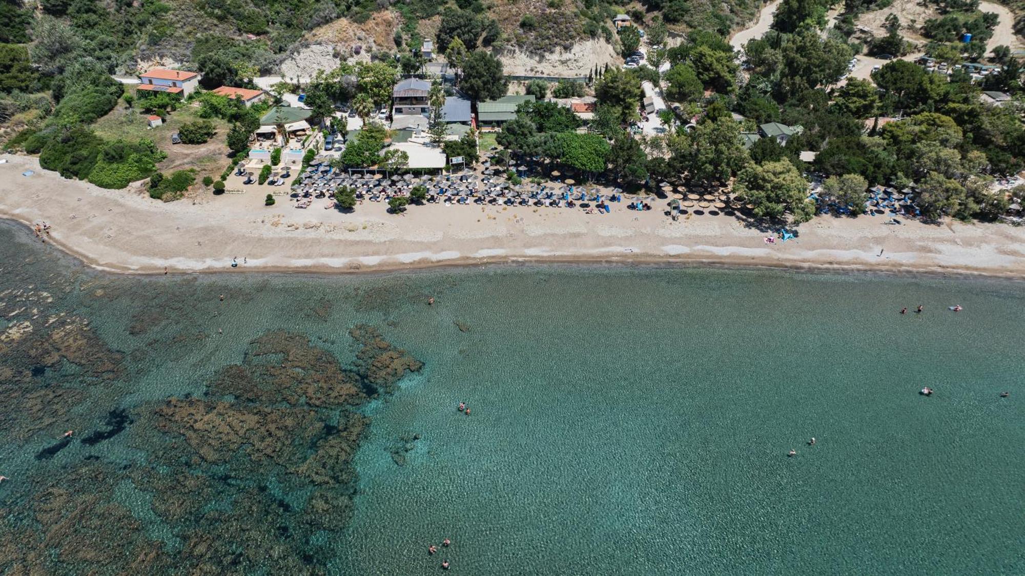 Tortuga Dafni Bay Diver's Paradise By 