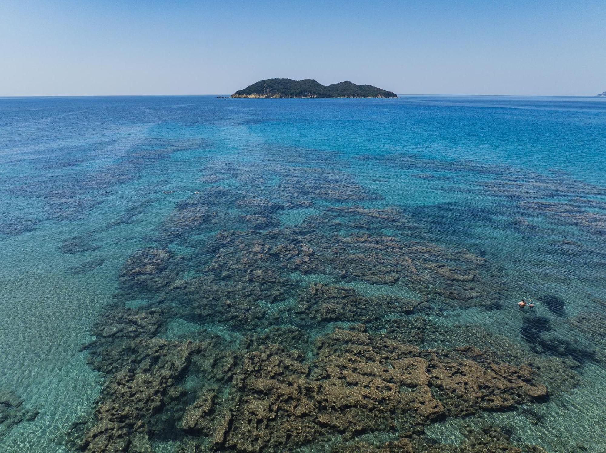 Tortuga Dafni Bay Diver's Paradise By 